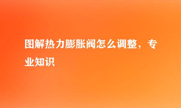 图解热力膨胀阀怎么调整，专业知识
