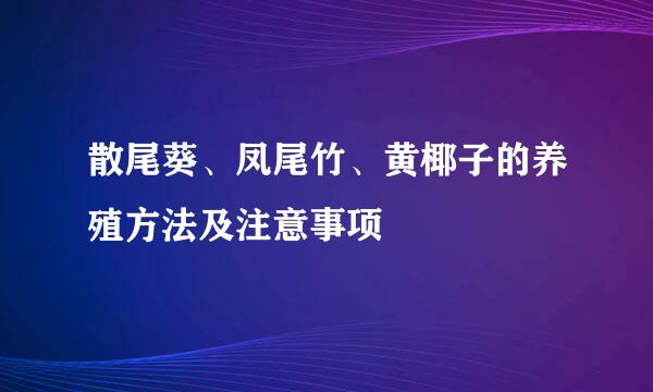 散尾葵、凤尾竹、黄椰子的养殖方法及注意事项