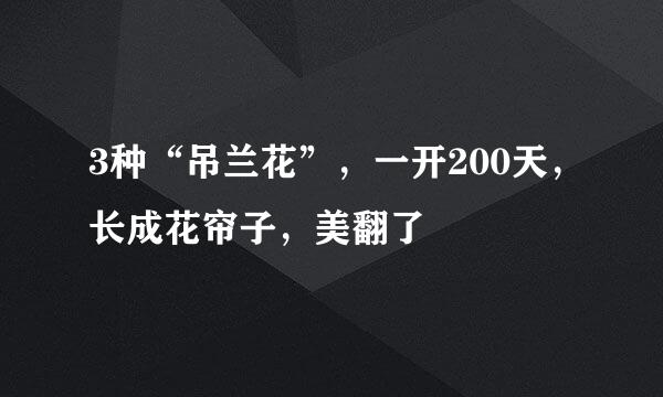 3种“吊兰花”，一开200天，长成花帘子，美翻了