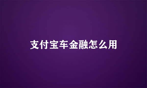 支付宝车金融怎么用