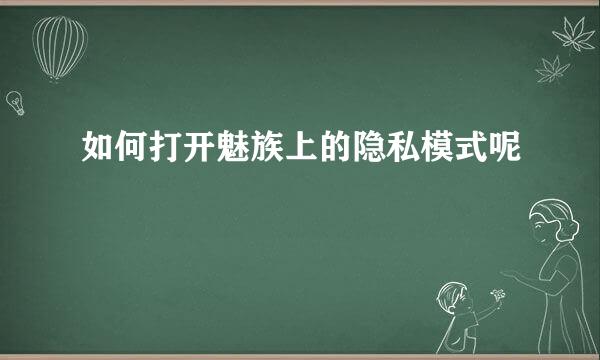 如何打开魅族上的隐私模式呢