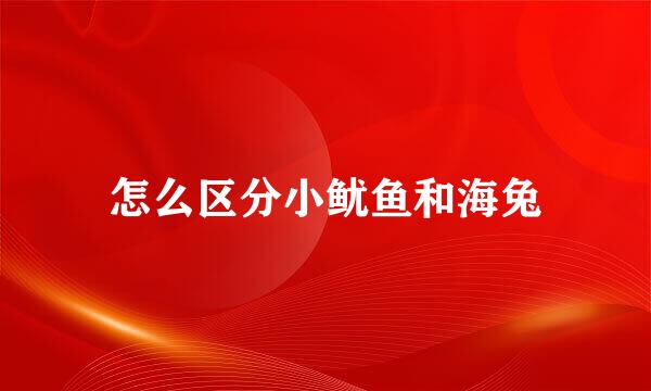 怎么区分小鱿鱼和海兔