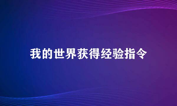 我的世界获得经验指令