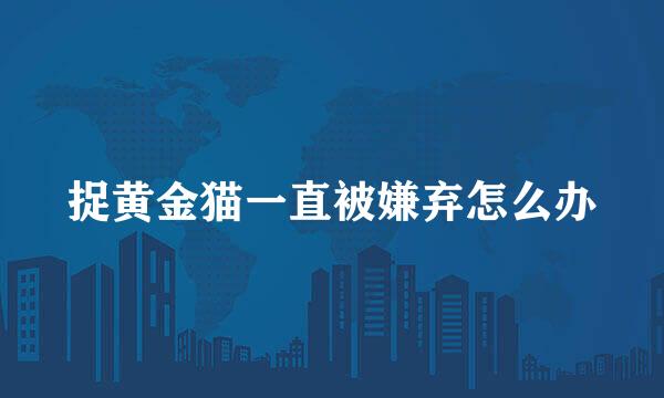捉黄金猫一直被嫌弃怎么办
