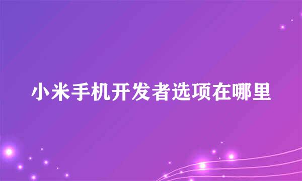 小米手机开发者选项在哪里
