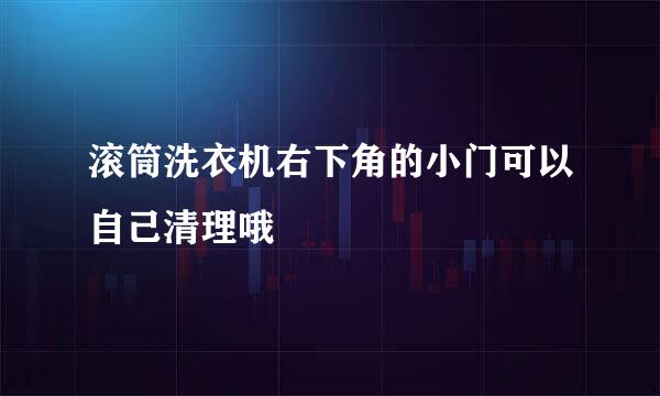 滚筒洗衣机右下角的小门可以自己清理哦