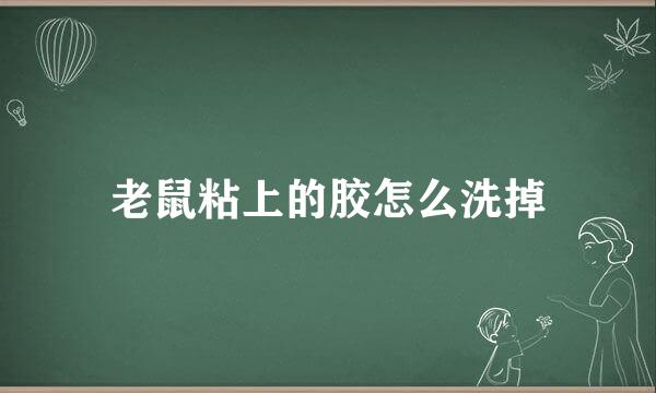 老鼠粘上的胶怎么洗掉