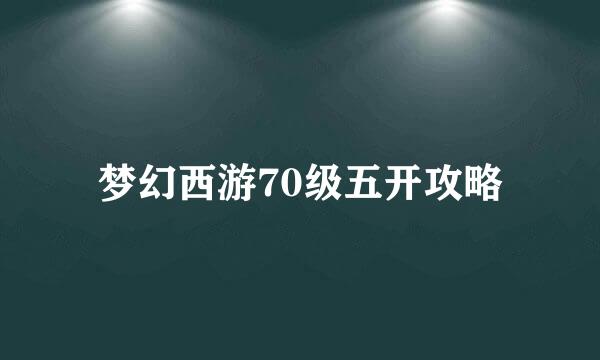 梦幻西游70级五开攻略