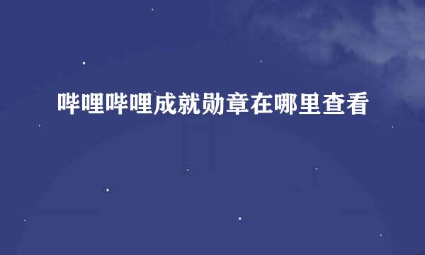 哔哩哔哩成就勋章在哪里查看