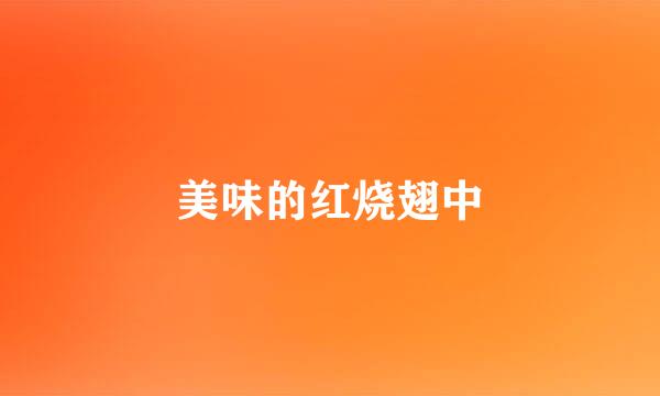美味的红烧翅中