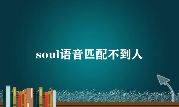 soul语音匹配不到人