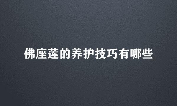 佛座莲的养护技巧有哪些