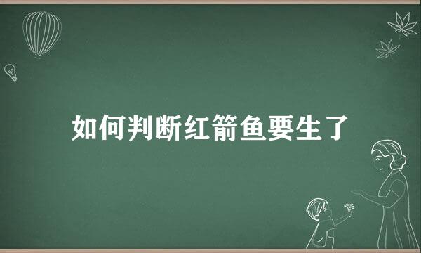 如何判断红箭鱼要生了