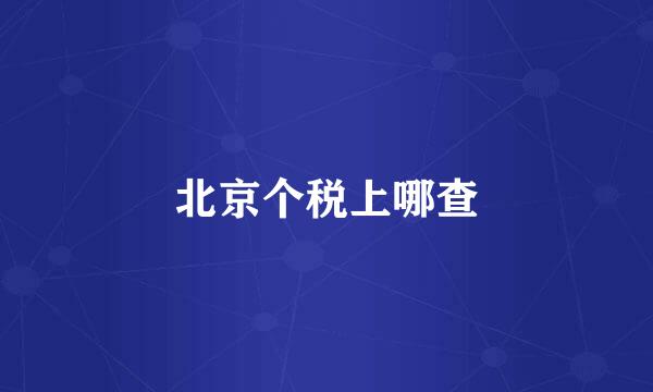 北京个税上哪查