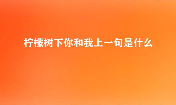 柠檬树下你和我上一句是什么