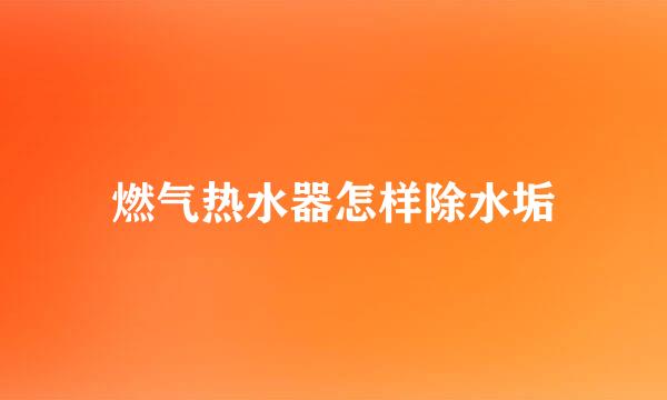 燃气热水器怎样除水垢