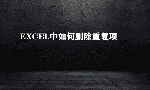 EXCEL中如何删除重复项