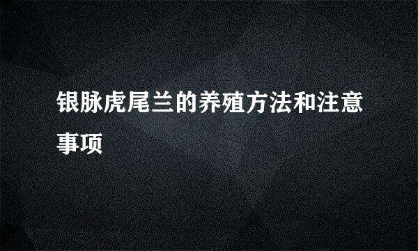 银脉虎尾兰的养殖方法和注意事项