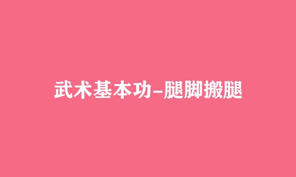 武术基本功-腿脚搬腿