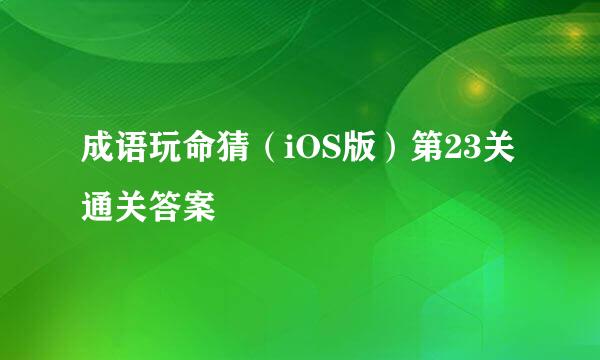 成语玩命猜（iOS版）第23关通关答案