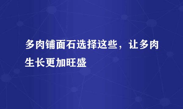 多肉铺面石选择这些，让多肉生长更加旺盛