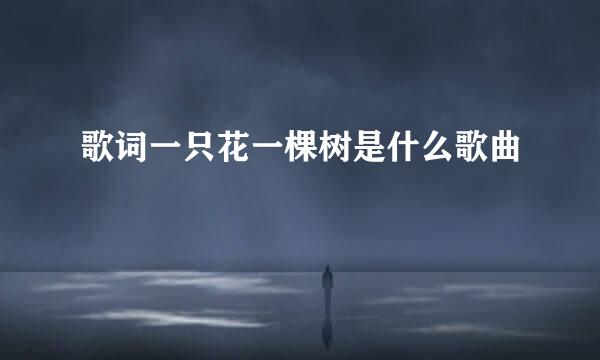 歌词一只花一棵树是什么歌曲