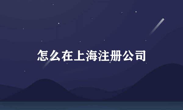 怎么在上海注册公司