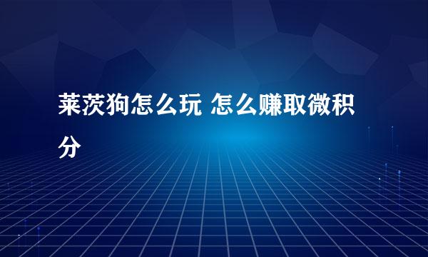 莱茨狗怎么玩 怎么赚取微积分