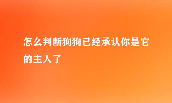怎么判断狗狗已经承认你是它的主人了