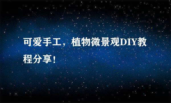 可爱手工，植物微景观DIY教程分享！