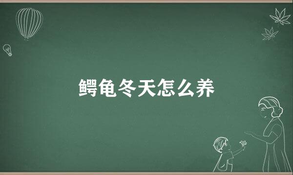 鳄龟冬天怎么养