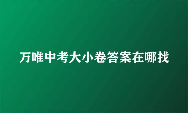 万唯中考大小卷答案在哪找