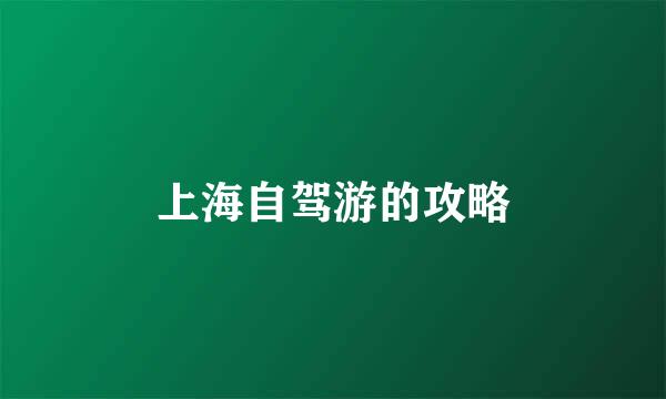 上海自驾游的攻略