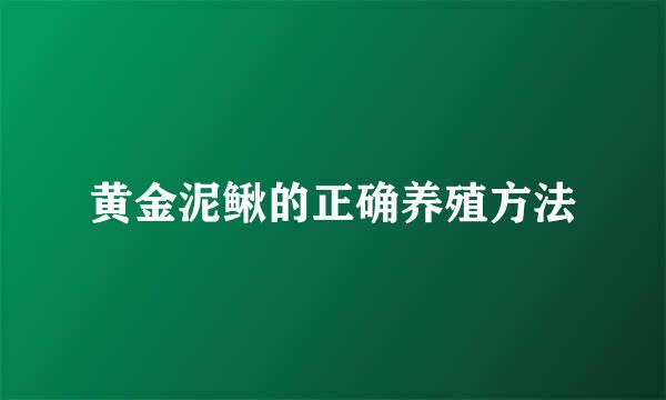 黄金泥鳅的正确养殖方法
