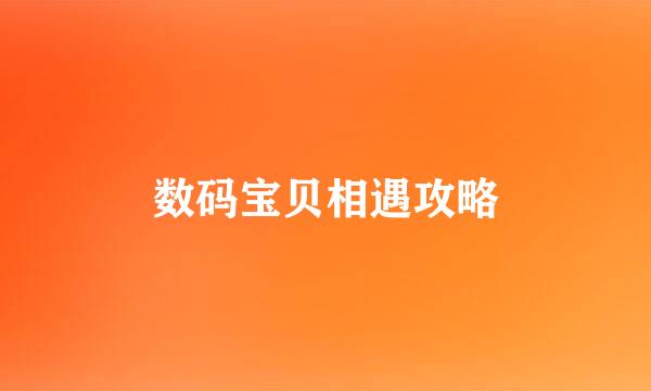 数码宝贝相遇攻略