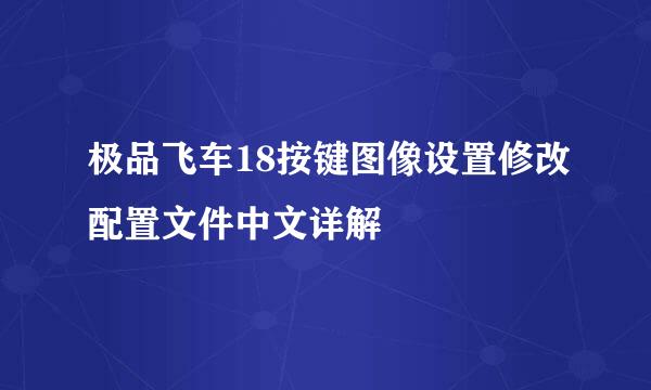 极品飞车18按键图像设置修改配置文件中文详解