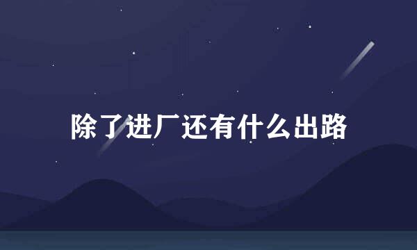 除了进厂还有什么出路