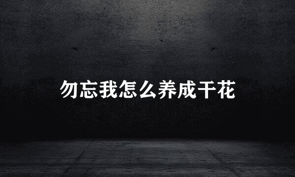 勿忘我怎么养成干花