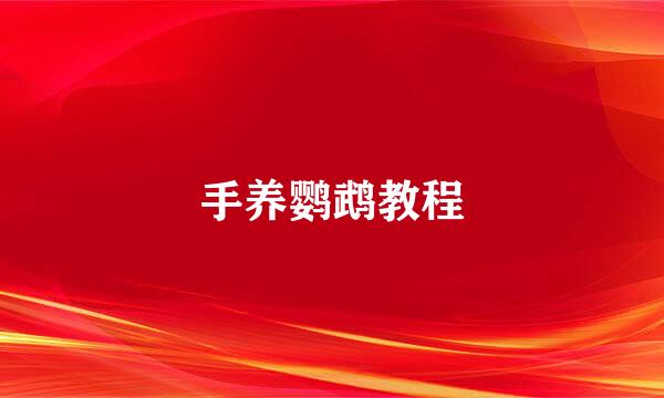 手养鹦鹉教程