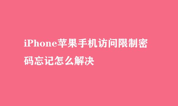 iPhone苹果手机访问限制密码忘记怎么解决