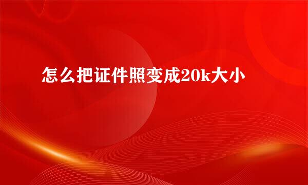 怎么把证件照变成20k大小