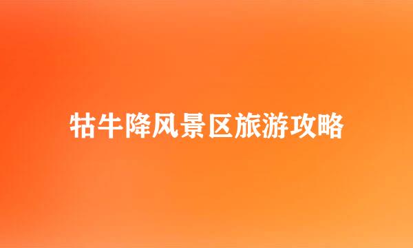 牯牛降风景区旅游攻略