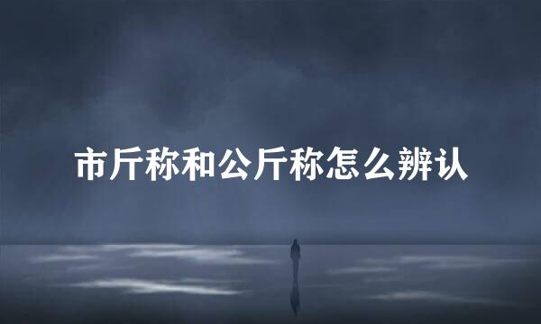 市斤称和公斤称怎么辨认