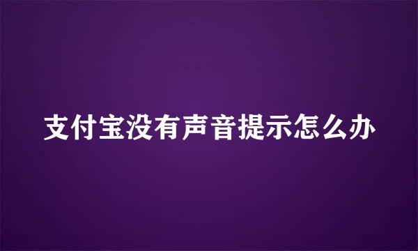支付宝没有声音提示怎么办