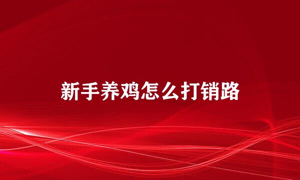 新手养鸡怎么打销路