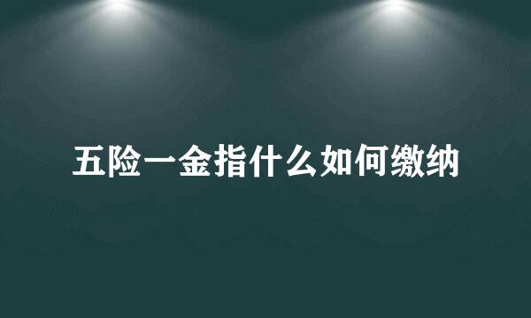 五险一金指什么如何缴纳
