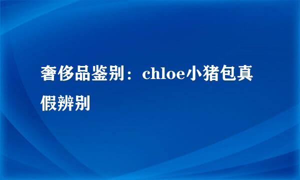 奢侈品鉴别：chloe小猪包真假辨别