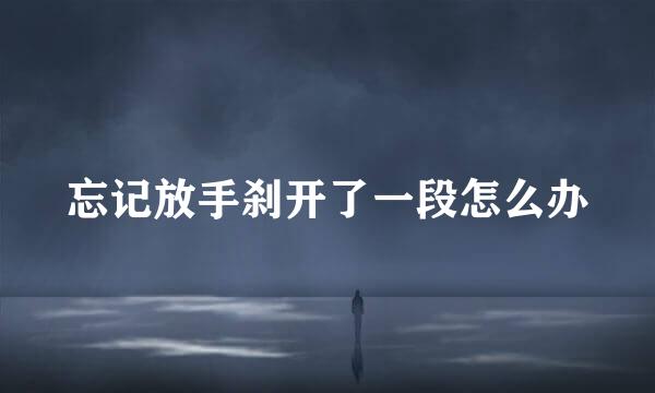 忘记放手刹开了一段怎么办