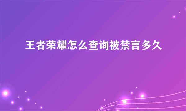王者荣耀怎么查询被禁言多久