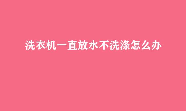 洗衣机一直放水不洗涤怎么办